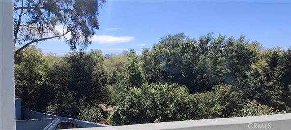View of surrounding trees and foliage seen from a building.