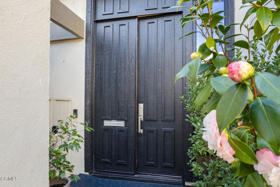 Close-up view of a house entrance with dark wooden double doors and surrounding greenery.