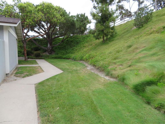 View of a grassy area and trees next to a building.