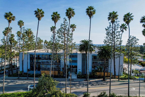 Front view of a multi-story building with palm trees in front.