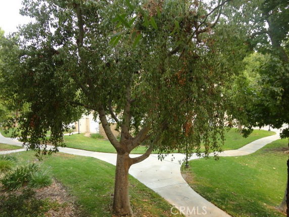 View of a garden area with a tree and walking paths.