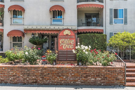 Front view of a condominium building with balconies and a central sign reading 'Olive Tree'.