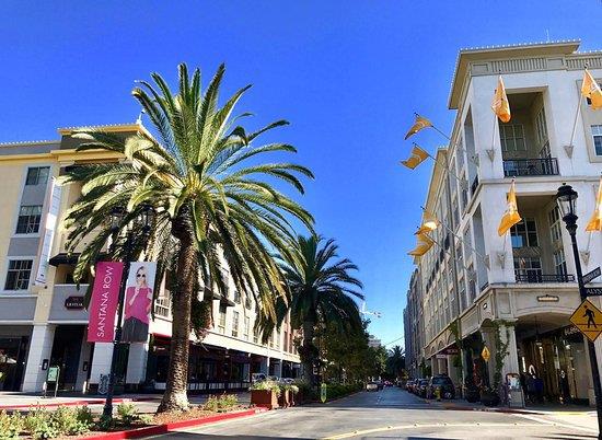 Street view showing buildings with palm trees and decorative flags.