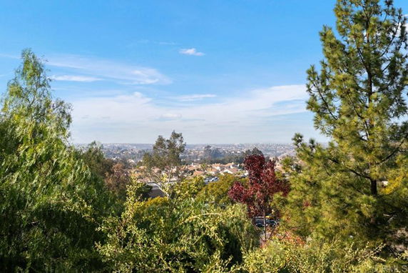 Panoramic view of a town seen through dense tree foliage.