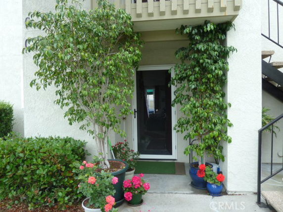 Entrance view of a house with potted plants and a small porch.