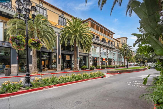 Front view of a multi-story commercial building with palm trees lining the street.
