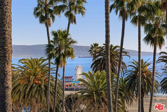 View of palm trees and ocean with a Ferris wheel in the background.