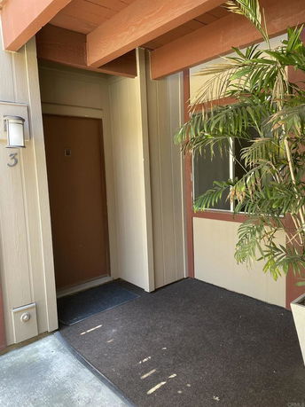 Entrance area of a house with a covered dark brown door, beige walls, and a potted plant.