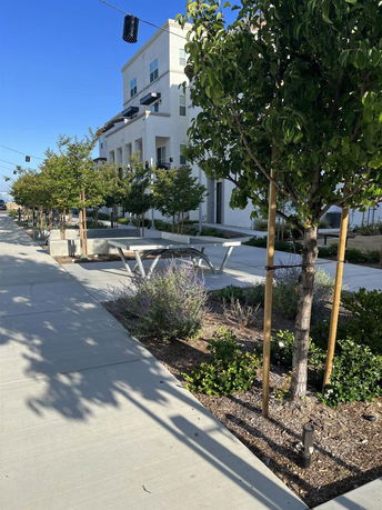 View of a multi-story building with surrounding trees and outdoor seating area.