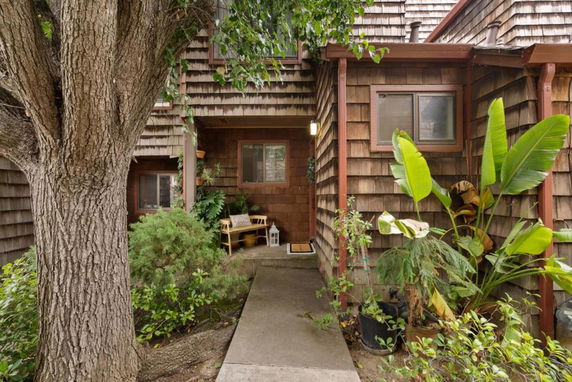 Front view of a house with wood siding and a small entrance path surrounded by plants.
