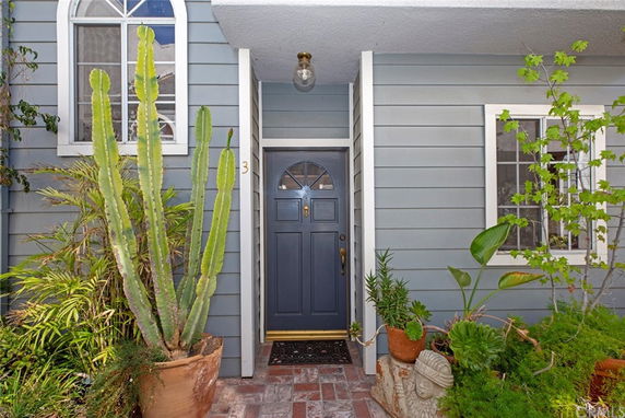 Front view of a house with a blue door and potted plants.