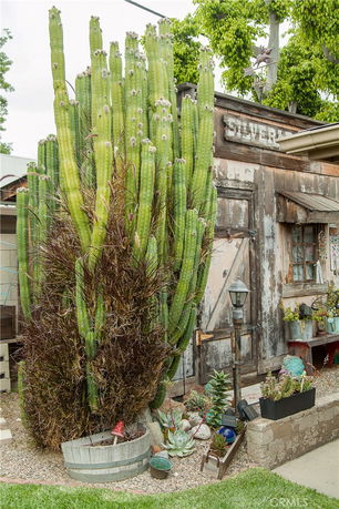 Front view of a rustic building with wooden exterior and a large cactus in the foreground.