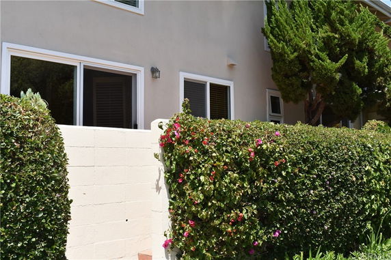 Front view of a house with windows and a garden wall.