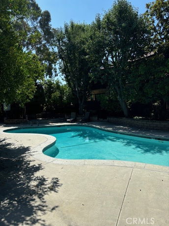 Outdoor swimming pool surrounded by trees.