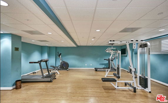 Indoor gym area with exercise equipment including a treadmill and weight machine.