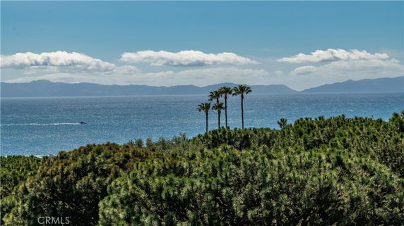 Wide view of the ocean and islands in the distance with palm trees and vegetation in the foreground.