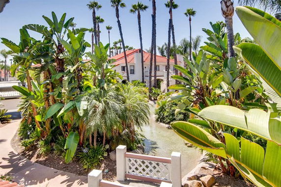 View from building showing palm trees and tropical vegetation.