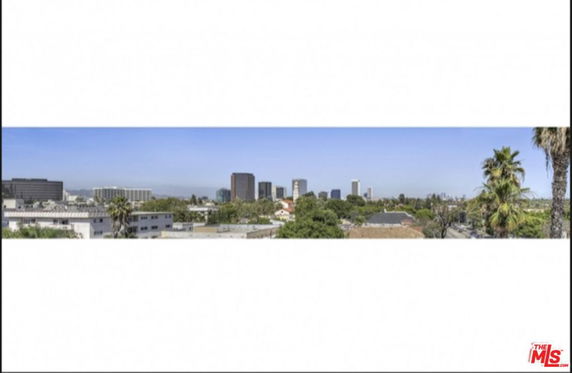 Panoramic view of a cityscape with high-rise buildings and palm trees.