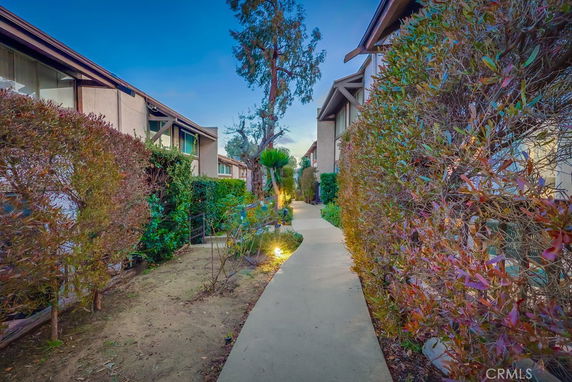 Pathway leading between buildings with shrubs and hedges on either side.