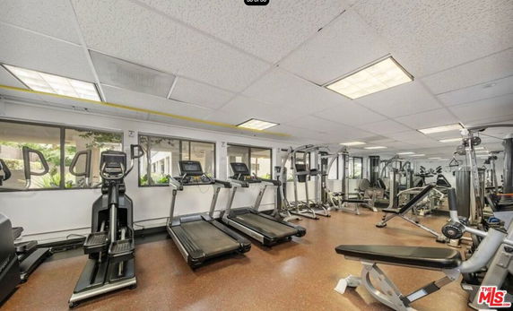 Gym area with exercise equipment including treadmills and weight machines