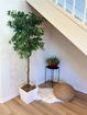 cacrmls/437a8258a9efd870bc64d45c79ef9060.jpg?width=131&height=105&format3=webp
