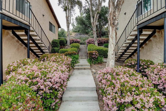 Staircase pathway between two residential buildings surrounded by flowering plants.