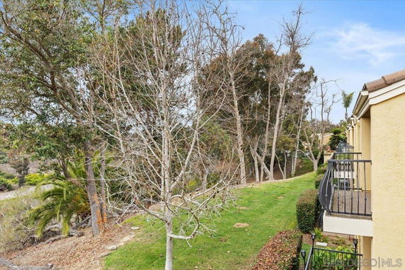 View from a building showing trees and a grassy area.