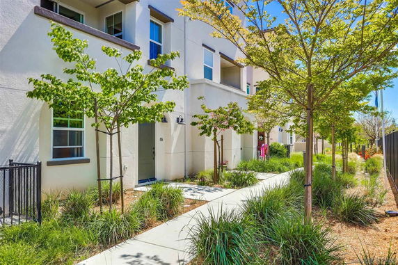 Front view of a modern multi-story residential building with a pathway and trees.