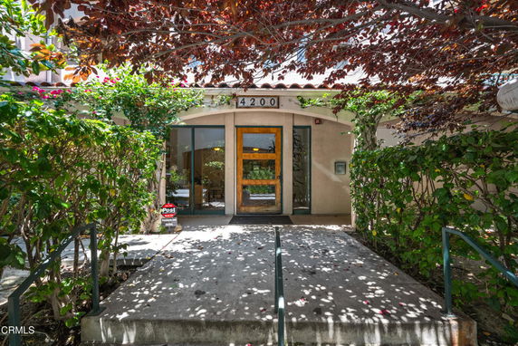 Front view of a building entrance with glass doors and surrounding foliage.