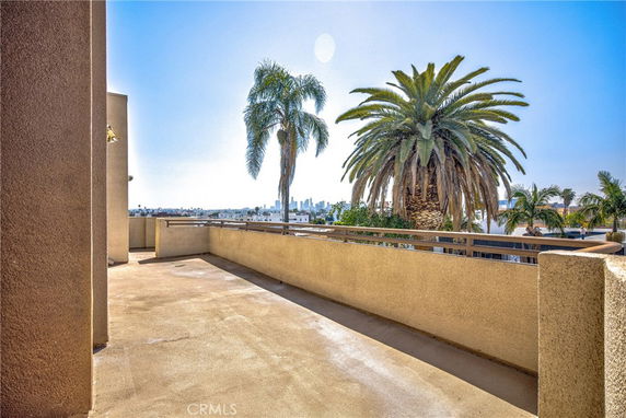 Rooftop area with city skyline and palm trees in the background