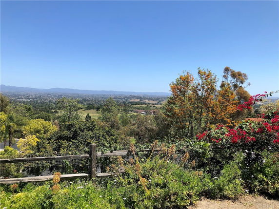Wide panoramic view of a landscape with trees and distant hills under a clear blue sky.
