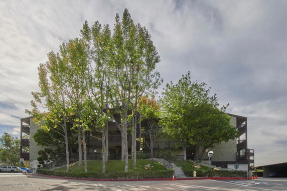 Front view of a multi-story building partially obscured by trees.