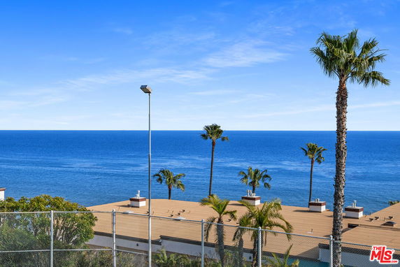 Panoramic view of ocean with palm trees and rooftops in the foreground.
