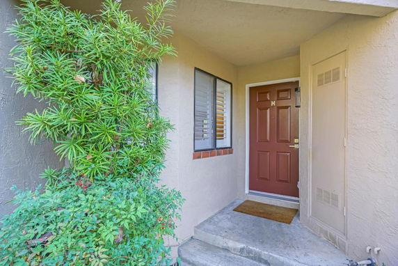 Front view of a house entrance with a brown door and plants nearby.