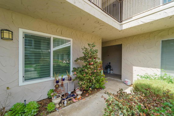 Front view of a building entrance with windows and potted plants.