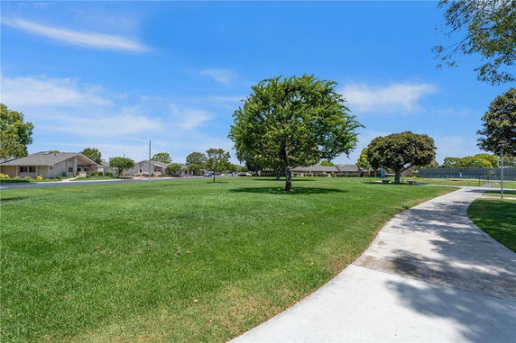 View of a park area with a path, trees, and houses in the background.