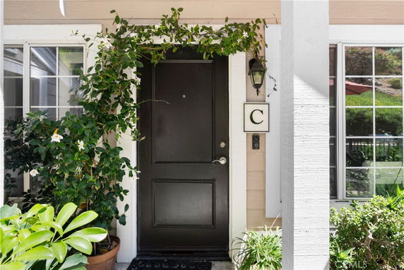 Front view of a house entrance with a black door and decorative plants.