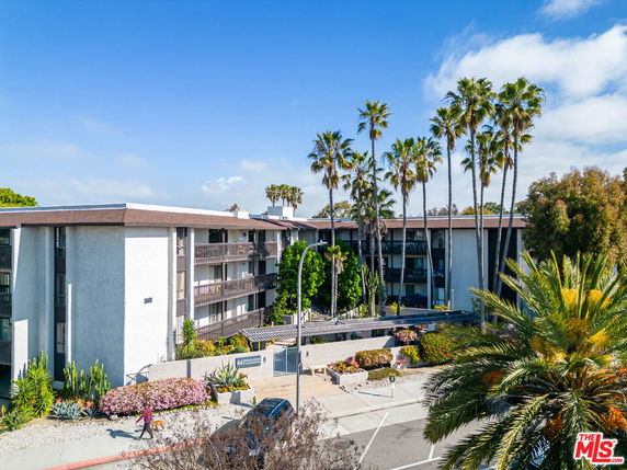 Front view of a residential multi-story building with balconies and surrounding palm trees.