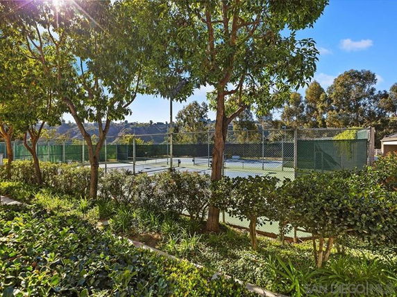 A tennis court surrounded by trees and greenery.