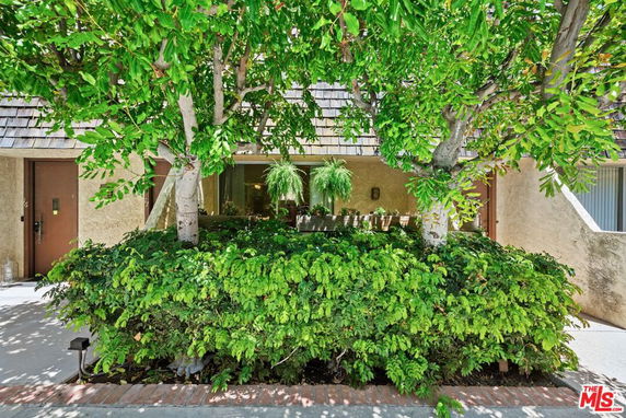 Front view of a building partially obscured by trees and plants.