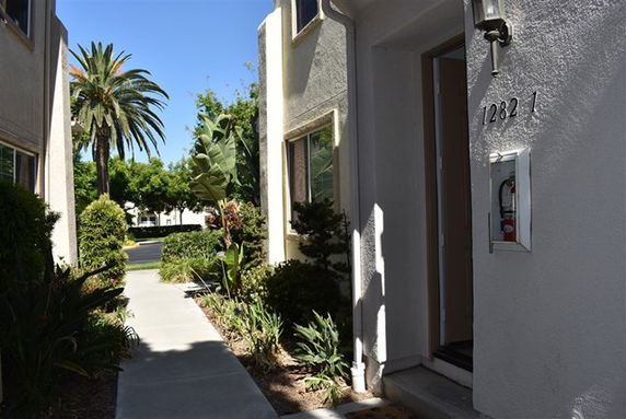 Front view of a building entrance with a path leading to the door.