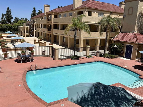 Outdoor view of a swimming pool area with surrounding buildings and palm trees.