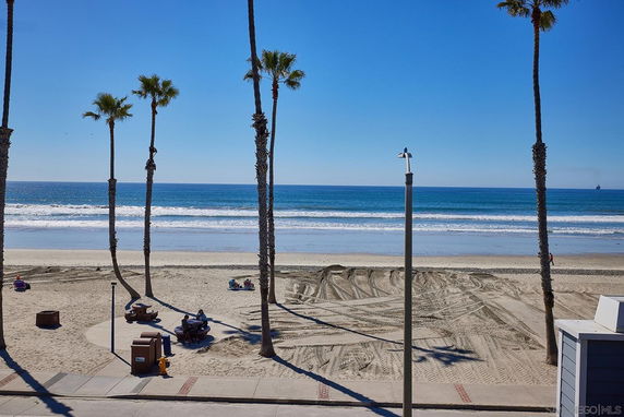 Beachfront view with palm trees lining the sandy shore, overlooking the ocean.