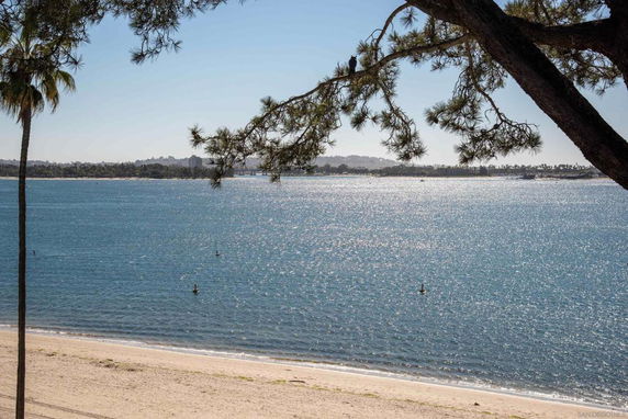 Panoramic view of a beach with calm water and trees in the foreground.