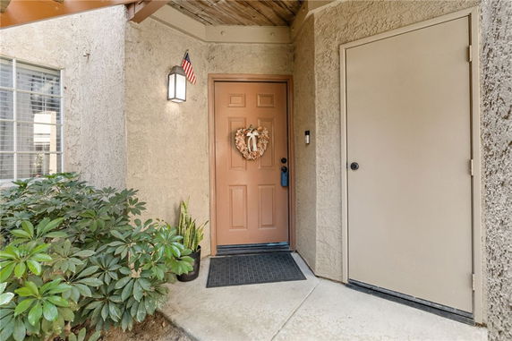 Front view of a house entrance with a decorated door and small plants nearby.