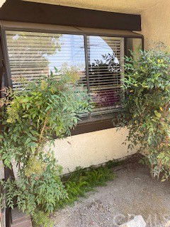 Front view of a window with plants on either side.