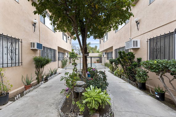 Outdoor view of a narrow pathway between two buildings with plants and trees along the sides.