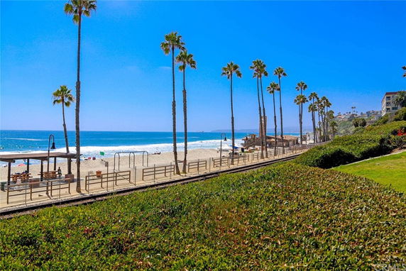 View of a beach with palm trees and oceanfront.