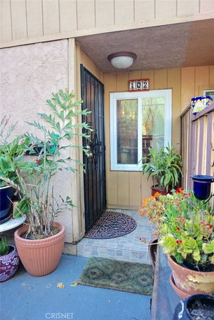Front view of a house entrance with a door and window, surrounded by potted plants.