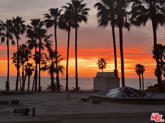 Panoramic view of a sunset with palm trees and ocean in the background.